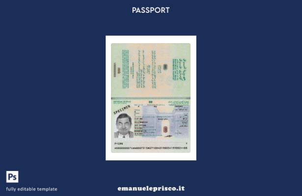 modello presente di passaporto iracheno in stile verificato 1